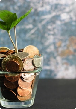 saving-scheme